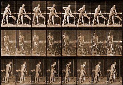 「動物の移動」シリーズ、1881年頃から見た男 作： Eadweard Muybridge